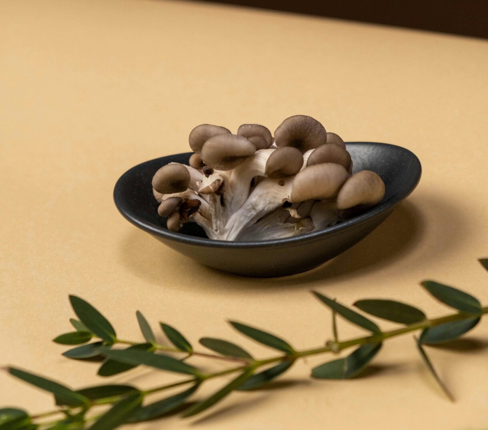 Garlic butter roasted oyster mushrooms on a serving plate.